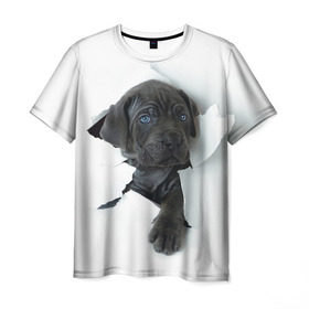 Мужская футболка 3D с принтом щенок Кане Корсо в Екатеринбурге, 100% полиэфир | прямой крой, круглый вырез горловины, длина до линии бедер | animal | black | break | breed | dog | kid | paper | puppy | tear | torn | дог | животное | малыш | порода | прорыв | разрыв | рваная | собака | черный | щенок