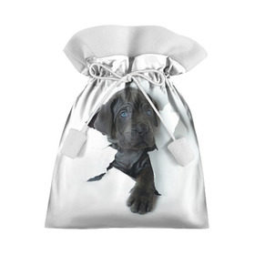 Подарочный 3D мешок с принтом щенок Кане Корсо в Екатеринбурге, 100% полиэстер | Размер: 29*39 см | Тематика изображения на принте: animal | black | break | breed | dog | kid | paper | puppy | tear | torn | дог | животное | малыш | порода | прорыв | разрыв | рваная | собака | черный | щенок