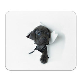 Коврик прямоугольный с принтом щенок Кане Корсо в Екатеринбурге, натуральный каучук | размер 230 х 185 мм; запечатка лицевой стороны | animal | black | break | breed | dog | kid | paper | puppy | tear | torn | дог | животное | малыш | порода | прорыв | разрыв | рваная | собака | черный | щенок