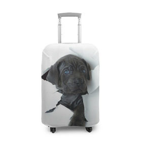 Чехол для чемодана 3D с принтом щенок Кане Корсо в Екатеринбурге, 86% полиэфир, 14% спандекс | двустороннее нанесение принта, прорези для ручек и колес | animal | black | break | breed | dog | kid | paper | puppy | tear | torn | дог | животное | малыш | порода | прорыв | разрыв | рваная | собака | черный | щенок