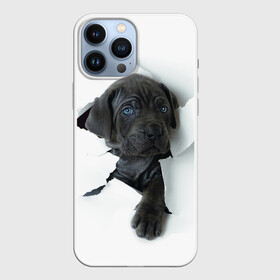 Чехол для iPhone 13 Pro Max с принтом Дог в Екатеринбурге,  |  | animal | black | break | breed | dog | kid | paper | puppy | tear | torn | дог | животное | малыш | порода | прорыв | разрыв | рваная | собака | черный | щенок