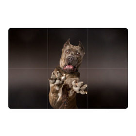 Магнитный плакат 3Х2 с принтом Кане корсо в Екатеринбурге, Полимерный материал с магнитным слоем | 6 деталей размером 9*9 см | Тематика изображения на принте: animal | breed | brown | dog | fear | jump | legs | throw | бросок | дог | животное | испуг | коричневый | лапы | порода | прыжок | собака