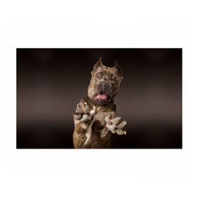 Бумага для упаковки 3D с принтом Кане корсо в Екатеринбурге, пластик и полированная сталь | круглая форма, металлическое крепление в виде кольца | Тематика изображения на принте: animal | breed | brown | dog | fear | jump | legs | throw | бросок | дог | животное | испуг | коричневый | лапы | порода | прыжок | собака