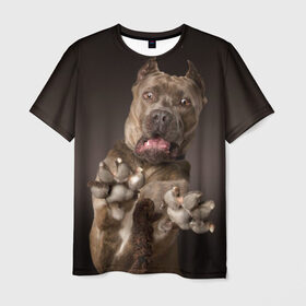 Мужская футболка 3D с принтом Кане корсо в Екатеринбурге, 100% полиэфир | прямой крой, круглый вырез горловины, длина до линии бедер | animal | breed | brown | dog | fear | jump | legs | throw | бросок | дог | животное | испуг | коричневый | лапы | порода | прыжок | собака