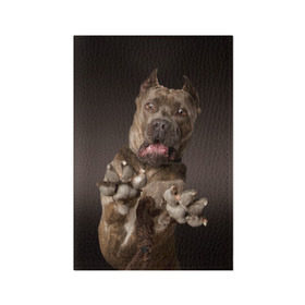 Обложка для паспорта матовая кожа с принтом Кане корсо в Екатеринбурге, натуральная матовая кожа | размер 19,3 х 13,7 см; прозрачные пластиковые крепления | animal | breed | brown | dog | fear | jump | legs | throw | бросок | дог | животное | испуг | коричневый | лапы | порода | прыжок | собака