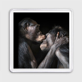 Магнит 55*55 с принтом Шимпанзе в Екатеринбурге, Пластик | Размер: 65*65 мм; Размер печати: 55*55 мм | chimps | family | feelings | kiss | monkeys | primates | любовь | обезьяны | поцелуй | приматы | семья | чувства | шимпанзе