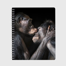 Тетрадь с принтом Шимпанзе в Екатеринбурге, 100% бумага | 48 листов, плотность листов — 60 г/м2, плотность картонной обложки — 250 г/м2. Листы скреплены сбоку удобной пружинной спиралью. Уголки страниц и обложки скругленные. Цвет линий — светло-серый
 | chimps | family | feelings | kiss | monkeys | primates | любовь | обезьяны | поцелуй | приматы | семья | чувства | шимпанзе