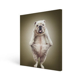 Холст квадратный с принтом Бульдог английский в Екатеринбурге, 100% ПВХ |  | Тематика изображения на принте: animals | breed | dog | english bulldog | funny | joke | pants | surrealism | бульдог английский | животное | порода | прикол | собака | сюрреализм | шутка