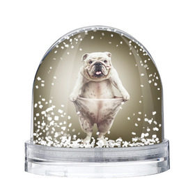 Снежный шар с принтом Бульдог английский в Екатеринбурге, Пластик | Изображение внутри шара печатается на глянцевой фотобумаге с двух сторон | Тематика изображения на принте: animals | breed | dog | english bulldog | funny | joke | pants | surrealism | бульдог английский | животное | порода | прикол | собака | сюрреализм | шутка
