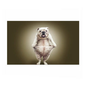 Бумага для упаковки 3D с принтом Бульдог английский в Екатеринбурге, пластик и полированная сталь | круглая форма, металлическое крепление в виде кольца | Тематика изображения на принте: animals | breed | dog | english bulldog | funny | joke | pants | surrealism | бульдог английский | животное | порода | прикол | собака | сюрреализм | шутка