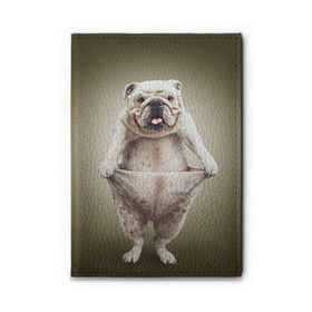 Обложка для автодокументов с принтом Бульдог английский в Екатеринбурге, натуральная кожа |  размер 19,9*13 см; внутри 4 больших “конверта” для документов и один маленький отдел — туда идеально встанут права | animals | breed | dog | english bulldog | funny | joke | pants | surrealism | бульдог английский | животное | порода | прикол | собака | сюрреализм | шутка