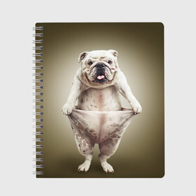 Тетрадь с принтом Бульдог английский в Екатеринбурге, 100% бумага | 48 листов, плотность листов — 60 г/м2, плотность картонной обложки — 250 г/м2. Листы скреплены сбоку удобной пружинной спиралью. Уголки страниц и обложки скругленные. Цвет линий — светло-серый
 | Тематика изображения на принте: animals | breed | dog | english bulldog | funny | joke | pants | surrealism | бульдог английский | животное | порода | прикол | собака | сюрреализм | шутка