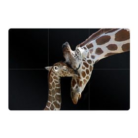 Магнитный плакат 3Х2 с принтом Жирафы в Екатеринбурге, Полимерный материал с магнитным слоем | 6 деталей размером 9*9 см | Тематика изображения на принте: africa | animals | baby | child | family | giraffes | head | mother | африка | головы | животные | жирафы | любовь | малыш | мама | ребенок | семья