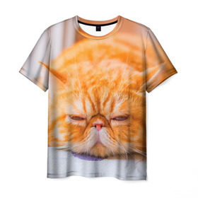 Мужская футболка 3D с принтом Рыжий кот в Екатеринбурге, 100% полиэфир | прямой крой, круглый вырез горловины, длина до линии бедер | кот | кошка | милая | рыжий