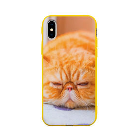 Чехол для Apple iPhone X силиконовый матовый с принтом Рыжий кот в Екатеринбурге, Силикон | Печать на задней стороне чехла, без боковой панели | кот | кошка | милая | рыжий