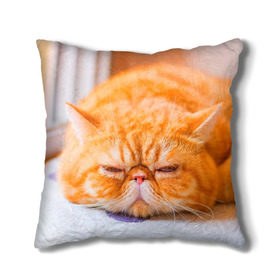 Подушка 3D с принтом Рыжий кот в Екатеринбурге, наволочка – 100% полиэстер, наполнитель – холлофайбер (легкий наполнитель, не вызывает аллергию). | состоит из подушки и наволочки. Наволочка на молнии, легко снимается для стирки | кот | кошка | милая | рыжий
