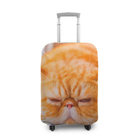 Чехол для чемодана 3D с принтом Рыжий кот в Екатеринбурге, 86% полиэфир, 14% спандекс | двустороннее нанесение принта, прорези для ручек и колес | кот | кошка | милая | рыжий