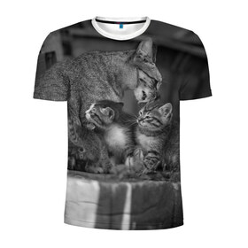 Мужская футболка 3D спортивная с принтом Котята в Екатеринбурге, 100% полиэстер с улучшенными характеристиками | приталенный силуэт, круглая горловина, широкие плечи, сужается к линии бедра | животные | кот | кошка | милая
