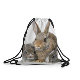 Рюкзак-мешок 3D с принтом Кролики в Екатеринбурге, 100% полиэстер | плотность ткани — 200 г/м2, размер — 35 х 45 см; лямки — толстые шнурки, застежка на шнуровке, без карманов и подкладки | animals | bunnies | cute | eared | family | fluffy | kids | mom | rabbits | животные | зайцы | кролики | малыши | мама | милые | пушистые | семья | ушастые