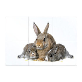 Магнитный плакат 3Х2 с принтом Кролики в Екатеринбурге, Полимерный материал с магнитным слоем | 6 деталей размером 9*9 см | animals | bunnies | cute | eared | family | fluffy | kids | mom | rabbits | животные | зайцы | кролики | малыши | мама | милые | пушистые | семья | ушастые