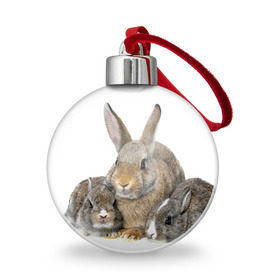Ёлочный шар с принтом Кролики в Екатеринбурге, Пластик | Диаметр: 77 мм | animals | bunnies | cute | eared | family | fluffy | kids | mom | rabbits | животные | зайцы | кролики | малыши | мама | милые | пушистые | семья | ушастые
