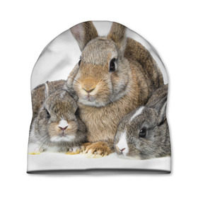 Шапка 3D с принтом Кролики в Екатеринбурге, 100% полиэстер | универсальный размер, печать по всей поверхности изделия | Тематика изображения на принте: animals | bunnies | cute | eared | family | fluffy | kids | mom | rabbits | животные | зайцы | кролики | малыши | мама | милые | пушистые | семья | ушастые