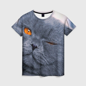 Женская футболка 3D с принтом Кот в Екатеринбурге, 100% полиэфир ( синтетическое хлопкоподобное полотно) | прямой крой, круглый вырез горловины, длина до линии бедер | британский | взгляд | глаза | животные | кот
