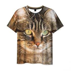 Мужская футболка 3D с принтом Кот в Екатеринбурге, 100% полиэфир | прямой крой, круглый вырез горловины, длина до линии бедер | animal | cat | eyes | face | head | kote | mustache | pet | взгляд | глаза | голова | домашнее | животное | кот | котэ | кошка | усы