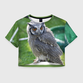 Женская футболка 3D укороченная с принтом Сова 2 в Екатеринбурге, 100% полиэстер | круглая горловина, длина футболки до линии талии, рукава с отворотами | животные | птица | сова