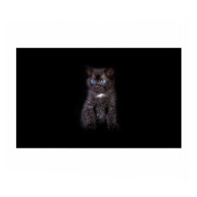 Бумага для упаковки 3D с принтом Чёрный котёнок в Екатеринбурге, пластик и полированная сталь | круглая форма, металлическое крепление в виде кольца | Тематика изображения на принте: киска | кот | кошка