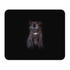 Коврик прямоугольный с принтом Чёрный котёнок в Екатеринбурге, натуральный каучук | размер 230 х 185 мм; запечатка лицевой стороны | Тематика изображения на принте: киска | кот | кошка