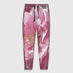 Мужские брюки 3D с принтом Розовые цветы в Екатеринбурге, 100% полиэстер | манжеты по низу, эластичный пояс регулируется шнурком, по бокам два кармана без застежек, внутренняя часть кармана из мелкой сетки | девушкам | розы | цветочки | цветы