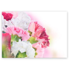 Поздравительная открытка с принтом Белые и розовые цветы в Екатеринбурге, 100% бумага | плотность бумаги 280 г/м2, матовая, на обратной стороне линовка и место для марки
 | Тематика изображения на принте: лепестки | прикольные картинки | цветочки | цветы