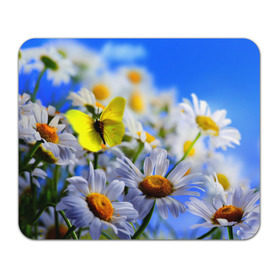 Коврик прямоугольный с принтом Ромашки и бабочка в Екатеринбурге, натуральный каучук | размер 230 х 185 мм; запечатка лицевой стороны | бабочки | лето | природа | ромашки | цветы