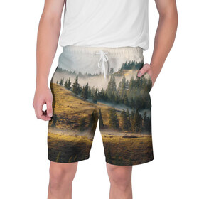 Мужские шорты 3D с принтом Прекрасные горы в Екатеринбурге,  полиэстер 100% | прямой крой, два кармана без застежек по бокам. Мягкая трикотажная резинка на поясе, внутри которой широкие завязки. Длина чуть выше колен | Тематика изображения на принте: пейзаж