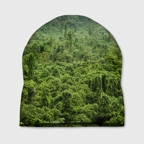 Шапка 3D с принтом Потрясающие тропики в Екатеринбурге, 100% полиэстер | универсальный размер, печать по всей поверхности изделия | деревья | джунгли | зелень | красиво | лес | пейзаж | фото