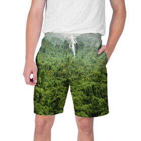 Мужские шорты 3D с принтом Потрясающие тропики в Екатеринбурге,  полиэстер 100% | прямой крой, два кармана без застежек по бокам. Мягкая трикотажная резинка на поясе, внутри которой широкие завязки. Длина чуть выше колен | деревья | джунгли | зелень | красиво | лес | пейзаж | фото