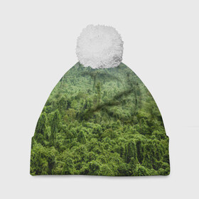 Шапка 3D c помпоном с принтом Потрясающие тропики в Екатеринбурге, 100% полиэстер | универсальный размер, печать по всей поверхности изделия | деревья | джунгли | зелень | красиво | лес | пейзаж | фото