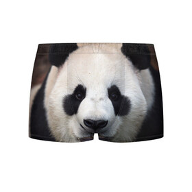 Мужские трусы 3D с принтом Милая панда в Екатеринбурге, 50% хлопок, 50% полиэстер | классическая посадка, на поясе мягкая тканевая резинка | Тематика изображения на принте: animal | hunny | panda | животные | классная | милая | милота | панда | фото | хорошая