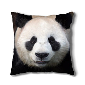 Подушка 3D с принтом Милая панда в Екатеринбурге, наволочка – 100% полиэстер, наполнитель – холлофайбер (легкий наполнитель, не вызывает аллергию). | состоит из подушки и наволочки. Наволочка на молнии, легко снимается для стирки | Тематика изображения на принте: animal | hunny | panda | животные | классная | милая | милота | панда | фото | хорошая