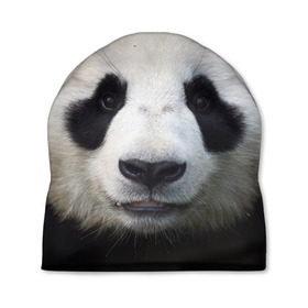 Шапка 3D с принтом Милая панда в Екатеринбурге, 100% полиэстер | универсальный размер, печать по всей поверхности изделия | animal | hunny | panda | животные | классная | милая | милота | панда | фото | хорошая