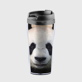Термокружка-непроливайка с принтом Милая панда в Екатеринбурге, внутренняя часть — пищевой пластик, наружная часть — прозрачный пластик, между ними — полиграфическая вставка с рисунком | объем — 350 мл, герметичная крышка | animal | hunny | panda | животные | классная | милая | милота | панда | фото | хорошая