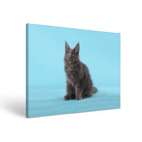 Холст прямоугольный с принтом Кот мейн кун в Екатеринбурге, 100% ПВХ |  | Тематика изображения на принте: котенок | мейнкун