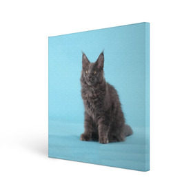 Холст квадратный с принтом Кот мейн кун в Екатеринбурге, 100% ПВХ |  | Тематика изображения на принте: котенок | мейнкун