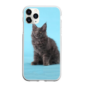 Чехол для iPhone 11 Pro матовый с принтом Кот мейн кун в Екатеринбурге, Силикон |  | котенок | мейнкун