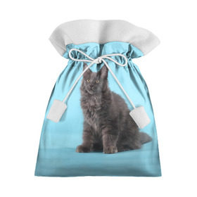 Подарочный 3D мешок с принтом Кот мейн кун в Екатеринбурге, 100% полиэстер | Размер: 29*39 см | котенок | мейнкун