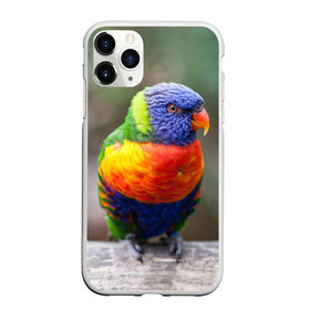 Чехол для iPhone 11 Pro матовый с принтом Попугай в Екатеринбурге, Силикон |  | Тематика изображения на принте: пернатые | попугай | прикольные картинки | природа | птица