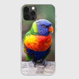 Чехол для iPhone 12 Pro Max с принтом Попугай в Екатеринбурге, Силикон |  | пернатые | попугай | прикольные картинки | природа | птица
