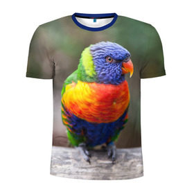 Мужская футболка 3D спортивная с принтом Попугай в Екатеринбурге, 100% полиэстер с улучшенными характеристиками | приталенный силуэт, круглая горловина, широкие плечи, сужается к линии бедра | Тематика изображения на принте: пернатые | попугай | прикольные картинки | природа | птица