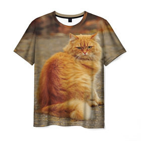 Мужская футболка 3D с принтом Рыжий кот в Екатеринбурге, 100% полиэфир | прямой крой, круглый вырез горловины, длина до линии бедер | коты | кошки